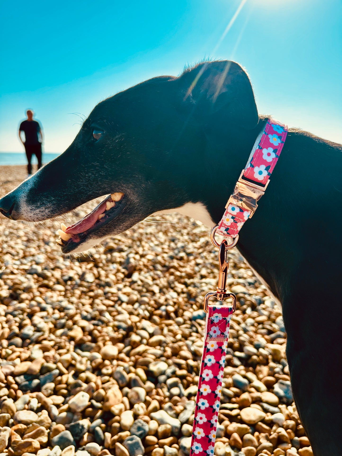 Retro Floral Dog Lead in Rose Pink with Rose Gold Hardware