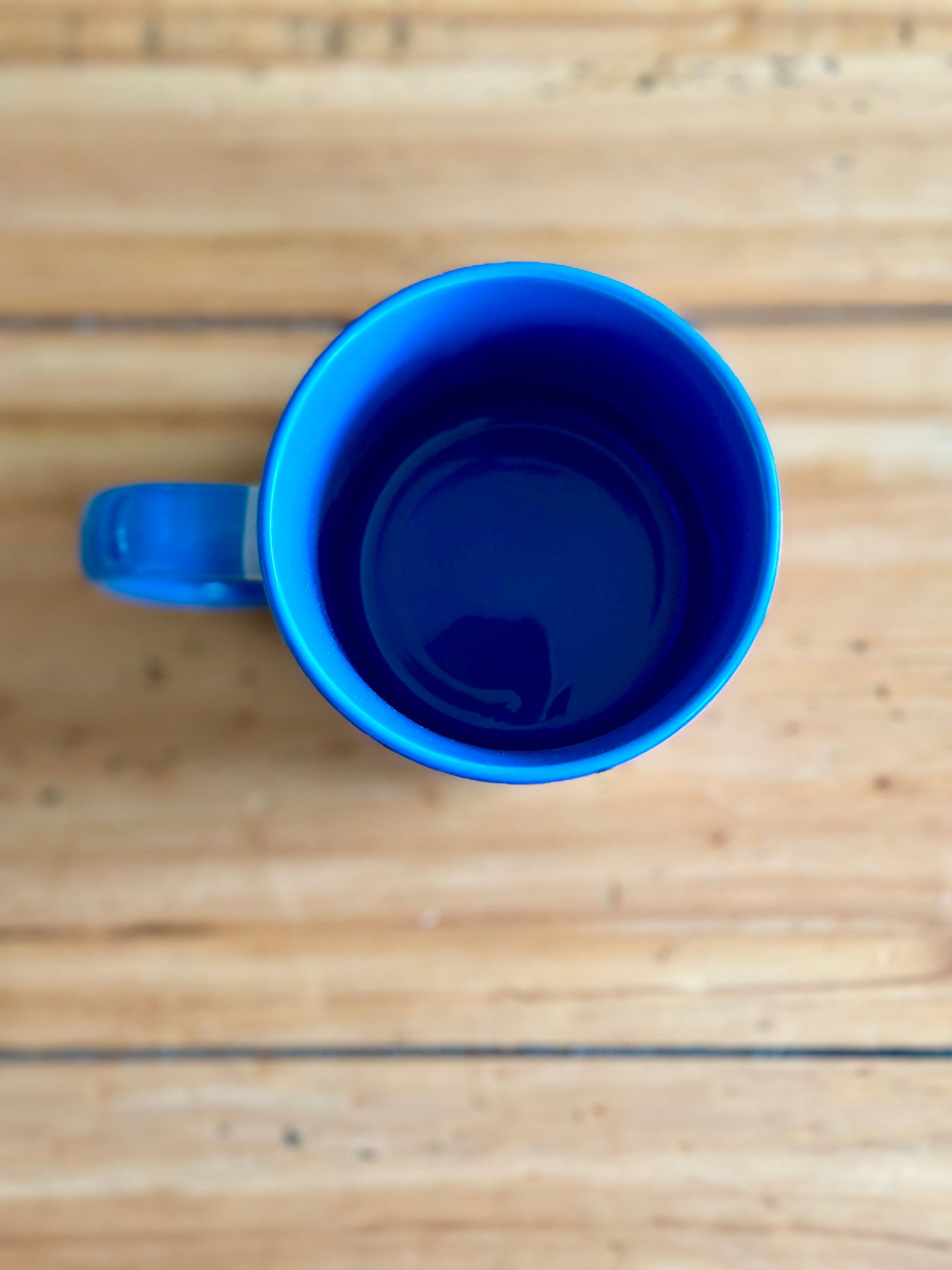 Retro Floral 11oz Ceramic Mug - Rose Pink with Blue - Enamelhappy