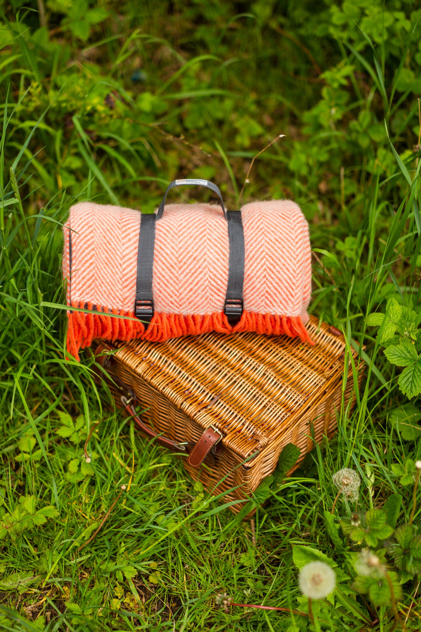 Picknickdecke aus reiner Schurwolle mit Fischgrätenmuster „Flamingo &amp; Pearl“ – wunderschön von Tweedmill